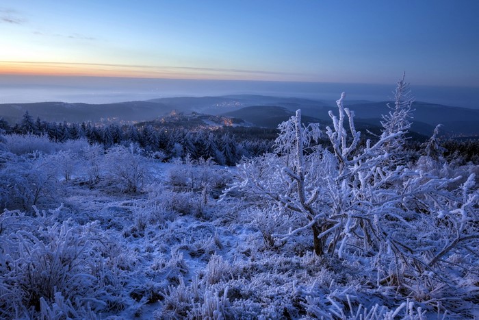 Winter landscape with frost-covered trees at dawn