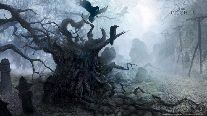 The Witcher screenshot of a dark, foggy forest with crows