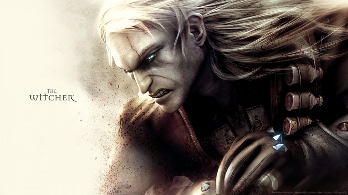 Geralt of Rivia from The Witcher