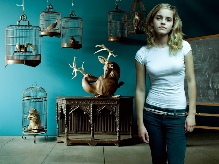Emma Watson from Harry Potter