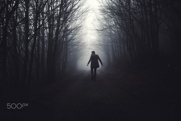 Person walking on a path in a foggy forest