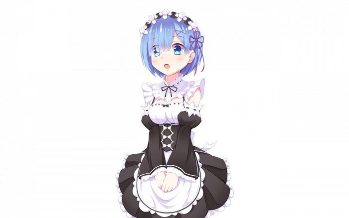 Rem from Re:Zero Maid Outfit