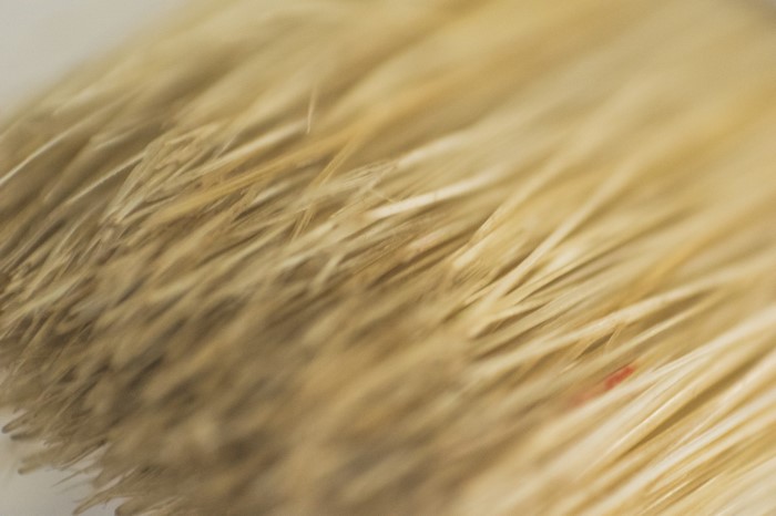 Macro photography of yellow brush bristles