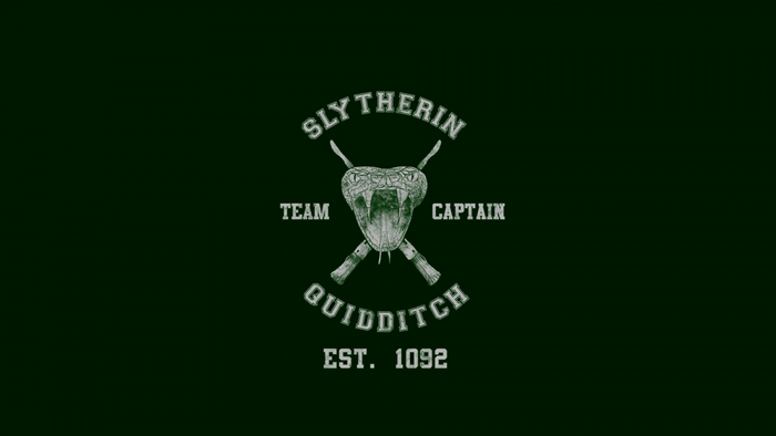 Slytherin Quidditch Team Captain Logo Harry Potter