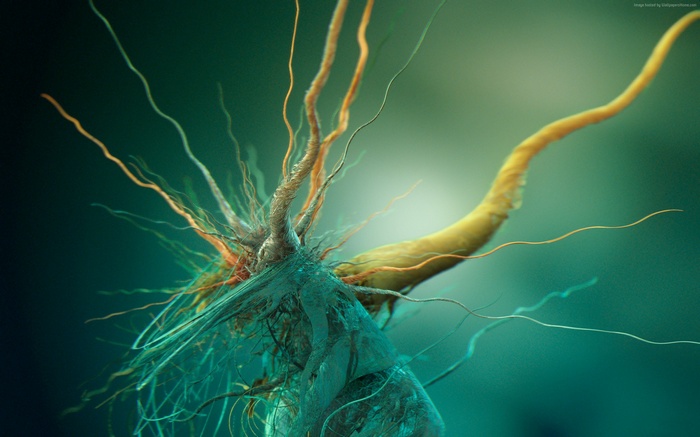 Abstract bacteria root 4K wallpaper