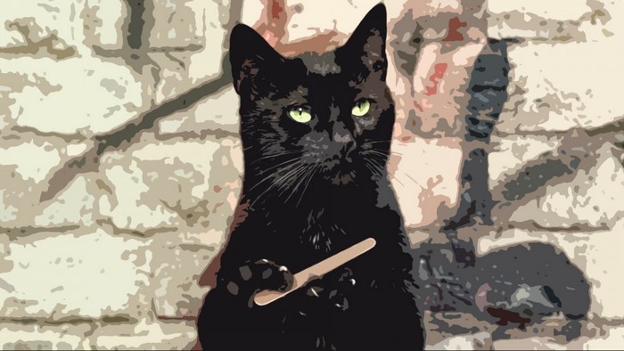 Black cat holding a wooden spoon