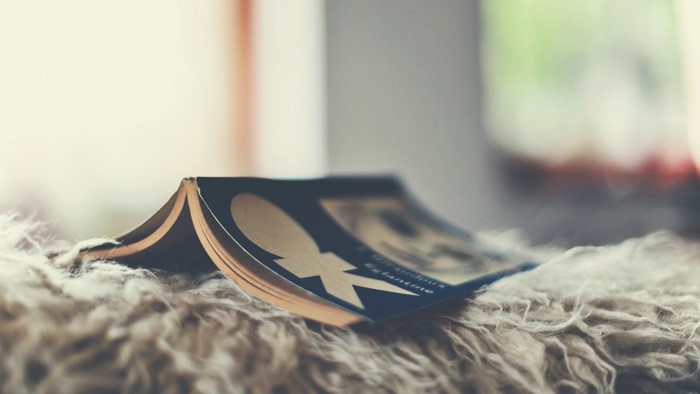 Open book with graphic design on a fluffy surface