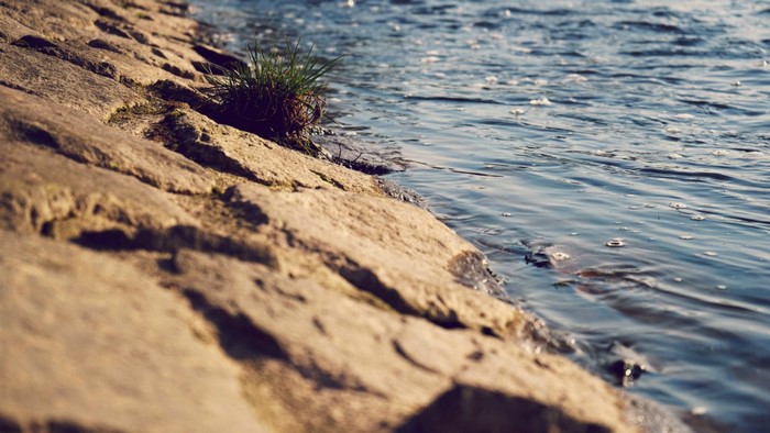 Rocks and water at the shore