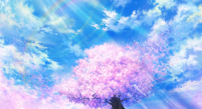 A blooming cherry blossom tree under a rainbow sky