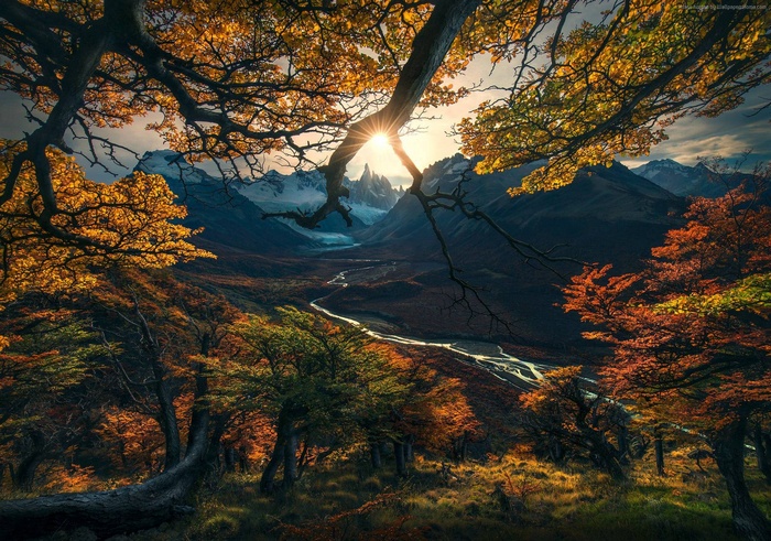 mountains, autumn, HD, forest, tree