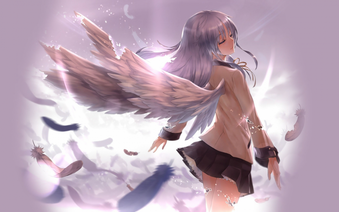 Angel Beats! Tenshi illustration with wings and feathers