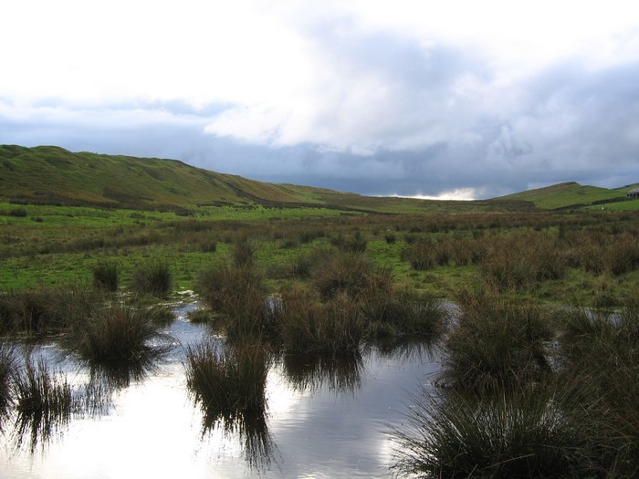 Wetland landscape with hills and cloudy sky
