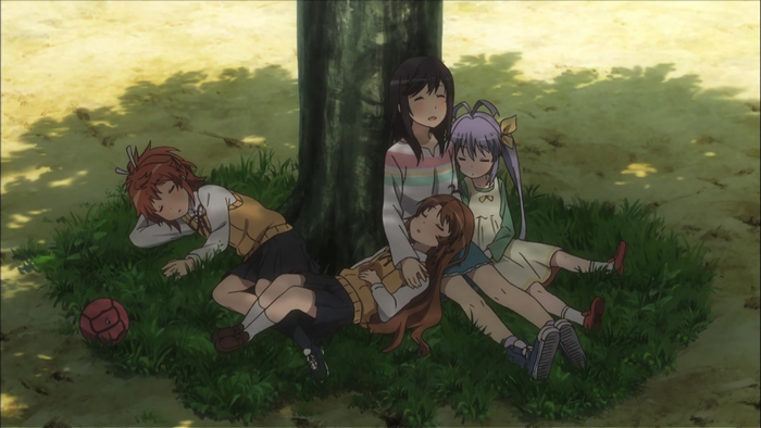 Four girls sleeping under a tree in Non Non Biyori