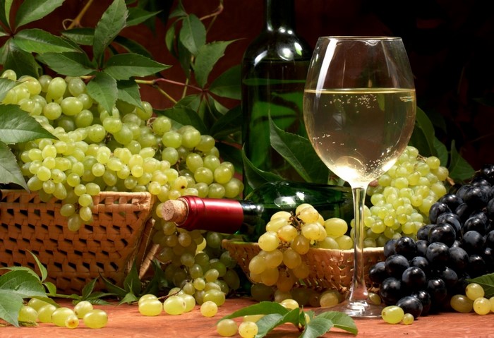 Wine and grapes still life