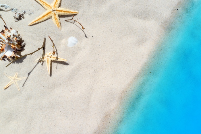 Starfish and shells on a sandy beach with blue water