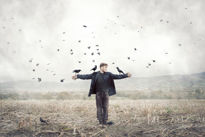 Man with crows in a field