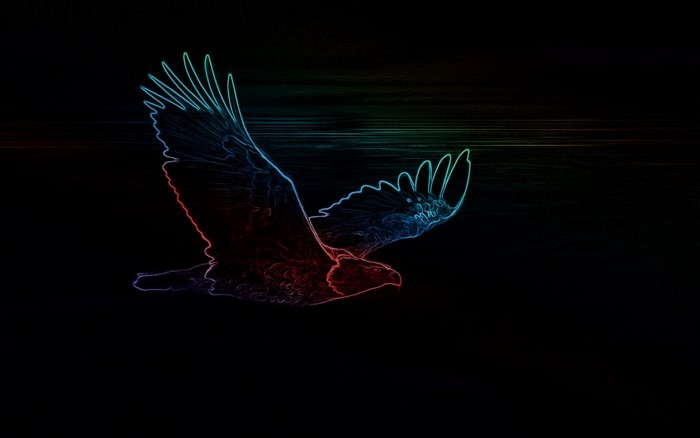 Neon outline of an eagle in flight against a dark background