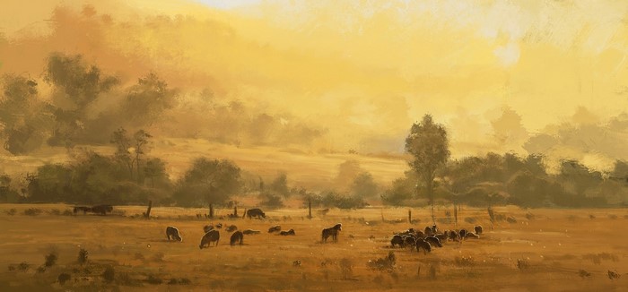 Herd of cattle grazing in a misty grassland at sunset