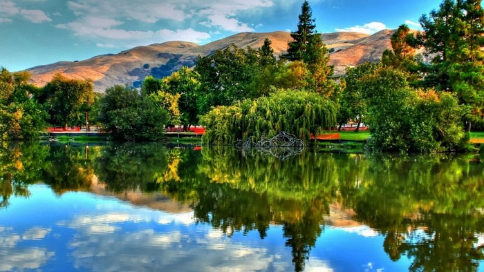 Lake with Trees and Mountains Reflected in Water