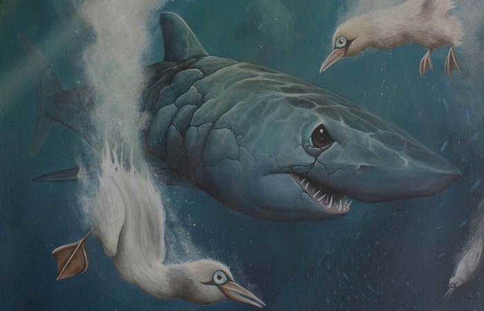 Shark attacking birds underwater