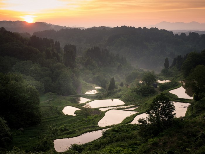 Terraced rice fields at sunrise in a misty valley