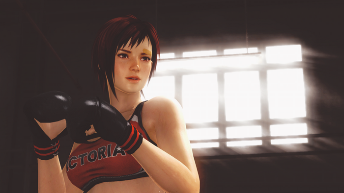 Helena Douglas from Dead or Alive 5