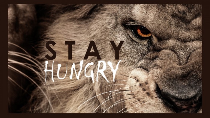 Close-up of a lion's face with the words "STAY HUNGRY"