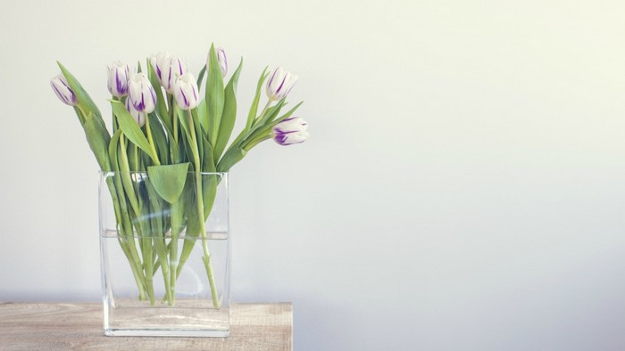 Purple and white tulips in a glass vase