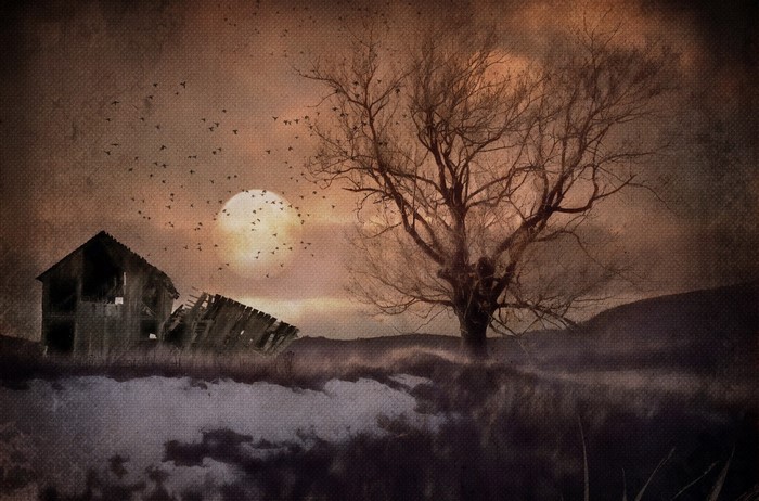 Abandoned barn and tree under a full moon with birds
