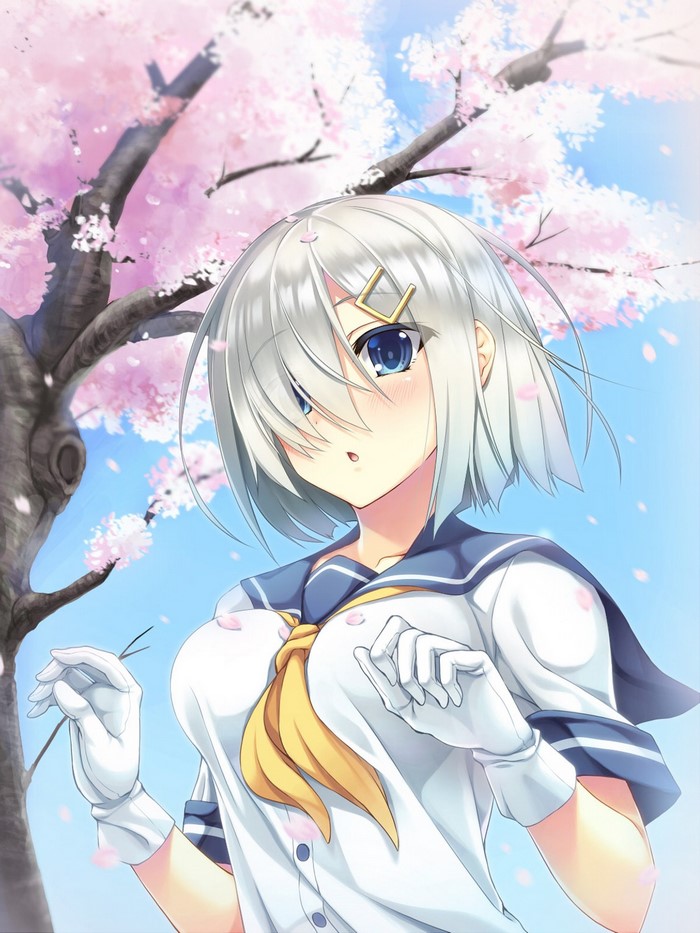 Hamakaze from Kantai Collection under cherry blossoms