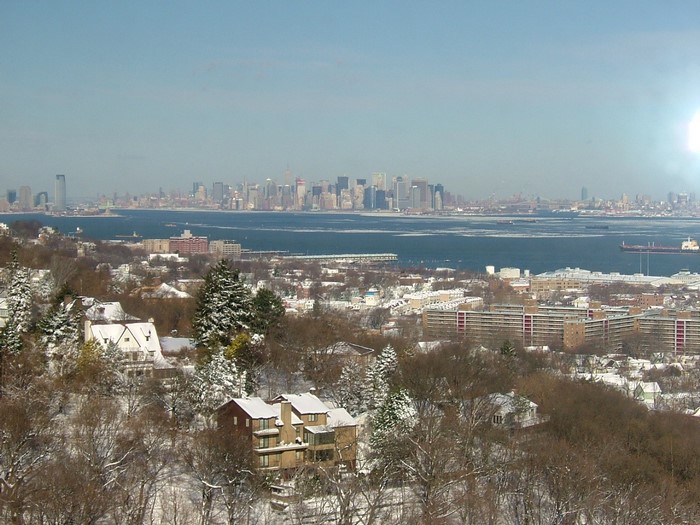 New York City skyline across a bay in winter