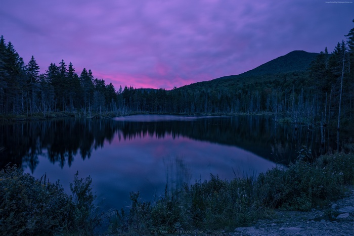 Purple Sky Over Forest Lake at Dusk