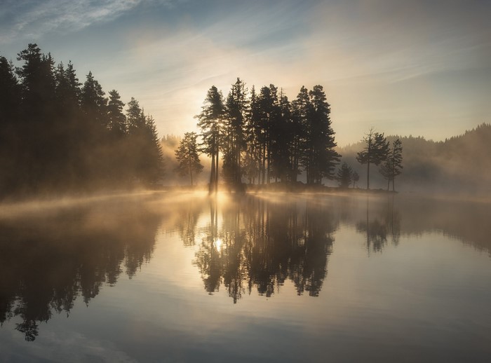 Misty lake with trees at sunrise