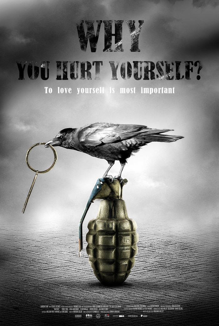 Why You Hurt Yourself? Poster
