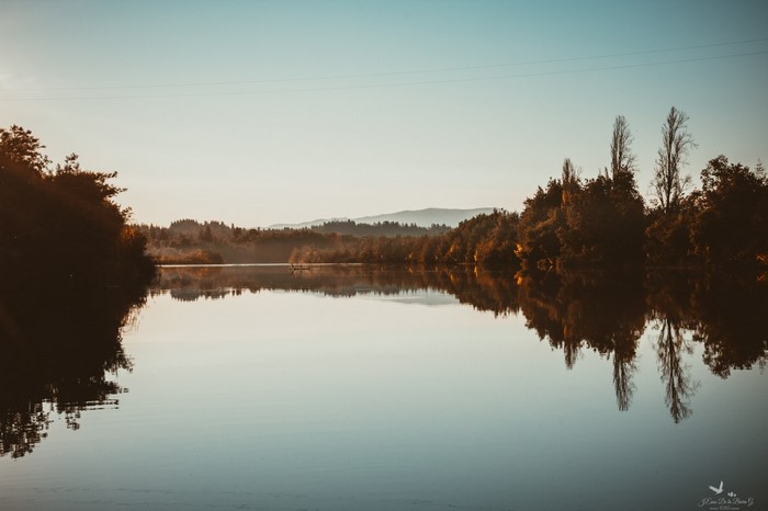 Calm lake reflecting trees and mountains at sunrise