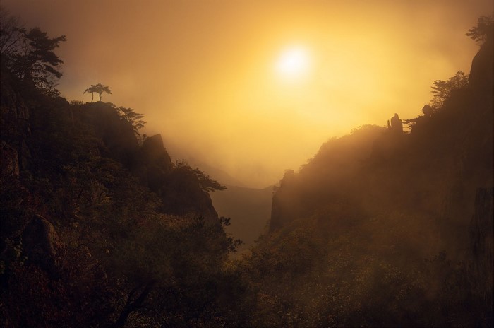 Misty mountain valley at sunrise with sunbeams