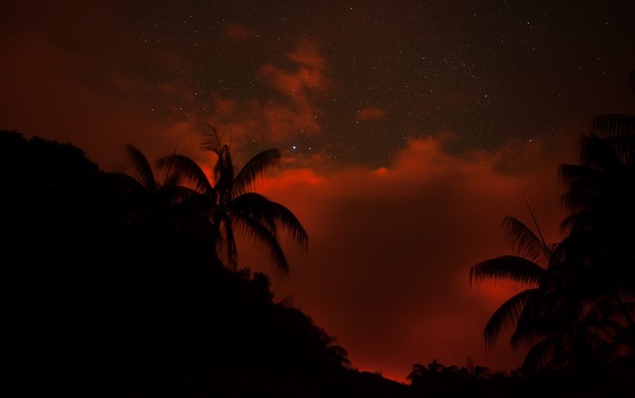 Silhouette of palm trees against a red sky at night