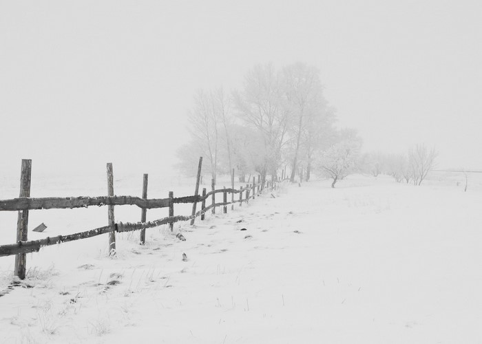 Wooden fence in a snowy landscape with frosted trees