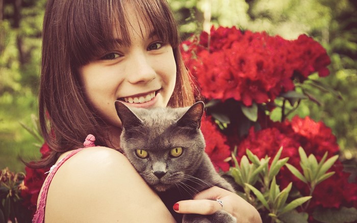 Girl holding a gray cat with red flowers