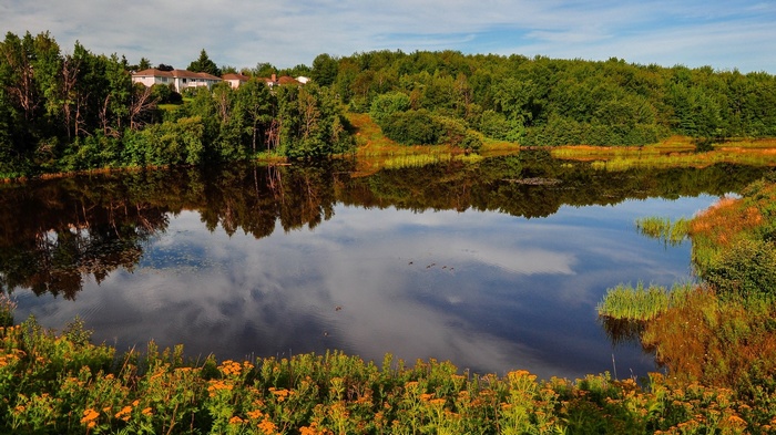 Houses on a hill overlooking a lake with reflections
