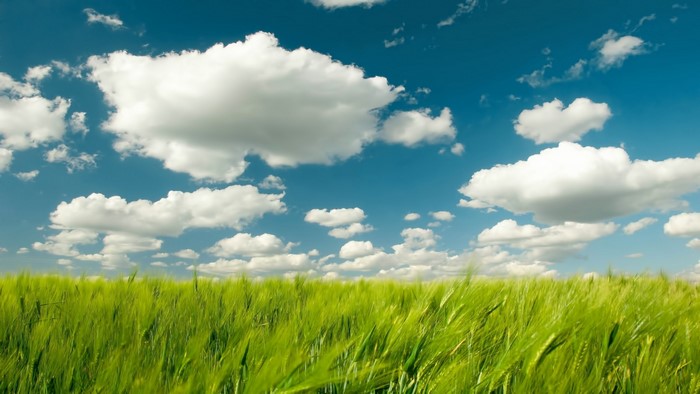 Green field under a blue sky with clouds