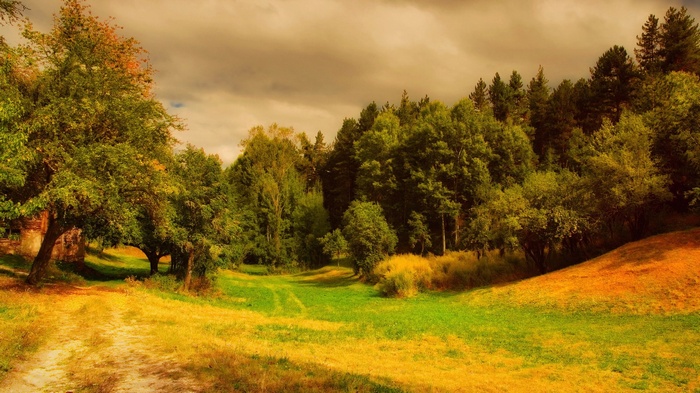 A pastoral landscape with trees and a dirt path