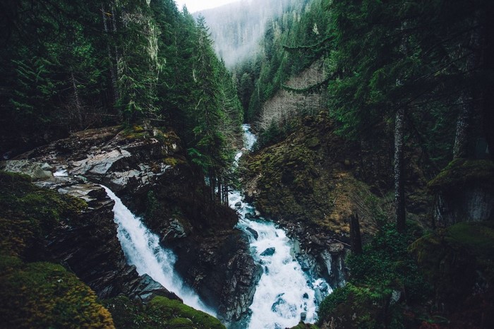 Waterfall cascading through a dense, misty forest ravine