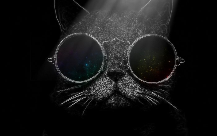 Close up of a cat wearing sunglasses