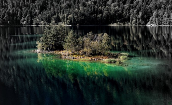 Island with trees in a green lake with forest reflection
