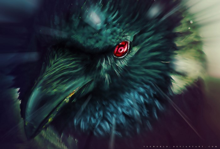 Uchiha Shisui from Naruto Shippuuden