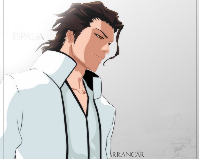 Sousuke Aizen from Bleach
