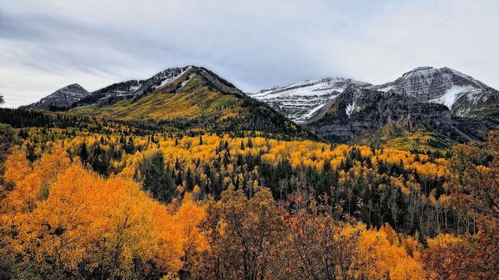 Mountains with autumn trees and snow