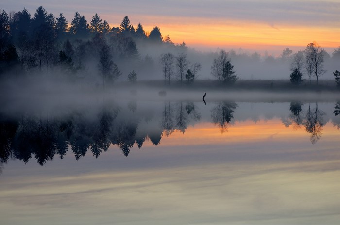 Misty lake at sunrise with forest reflection