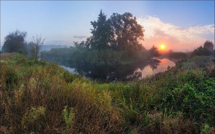 Misty river at sunrise with trees and tall grass